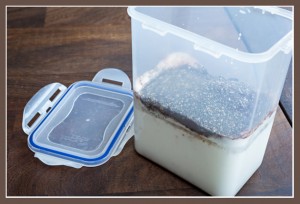 lock & lock box with chocolate chia ingredients